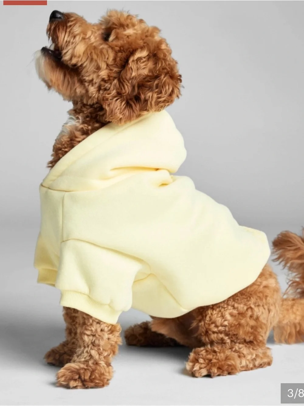 🧈 Buttercream Soft Comfrt Dog Hoodie SZL/NEW